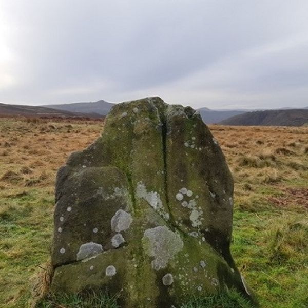 Bronze Age Life and Death on Bamford Moor